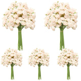 5 Bouquets Cream Ranunculus Artificial Flowers, 30 Pcs Silk Mini Faux Ranunculus Bouquet For Wedding, Bridal Shower, Centerpieces, And Diy Decorations