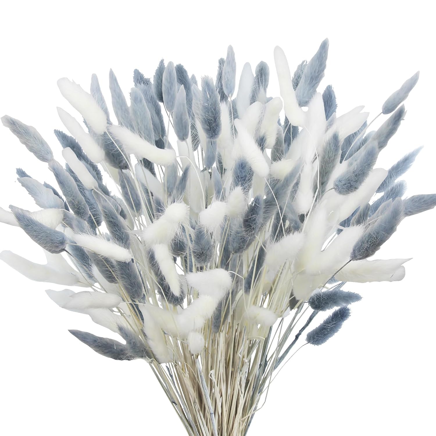 120Pcs Dried Bunny Tails Flower Lagurus Ovatus Natural Dried Flowers Rabbit Tail Grass Gray And White Dried Pampas Grass Dried Floral Arrangement For Boho Decor Wedding Home Diy Farmhouse Table
