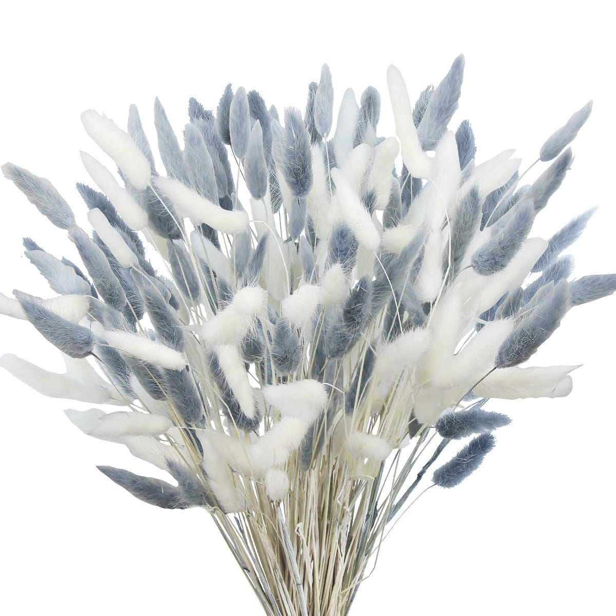 120Pcs Dried Bunny Tails Flower Lagurus Ovatus Natural Dried Flowers Rabbit Tail Grass Gray And White Dried Pampas Grass Dried Floral Arrangement For Boho Decor Wedding Home Diy Farmhouse Table