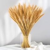 100 Stems Dried Wheat Stalks For Decor - Sheaves Grass Natural Bunch Flowers Home Wedding Table Kitchen Boho Farmhouse Fall Arrangement Diy Decoration 12.9 Inches