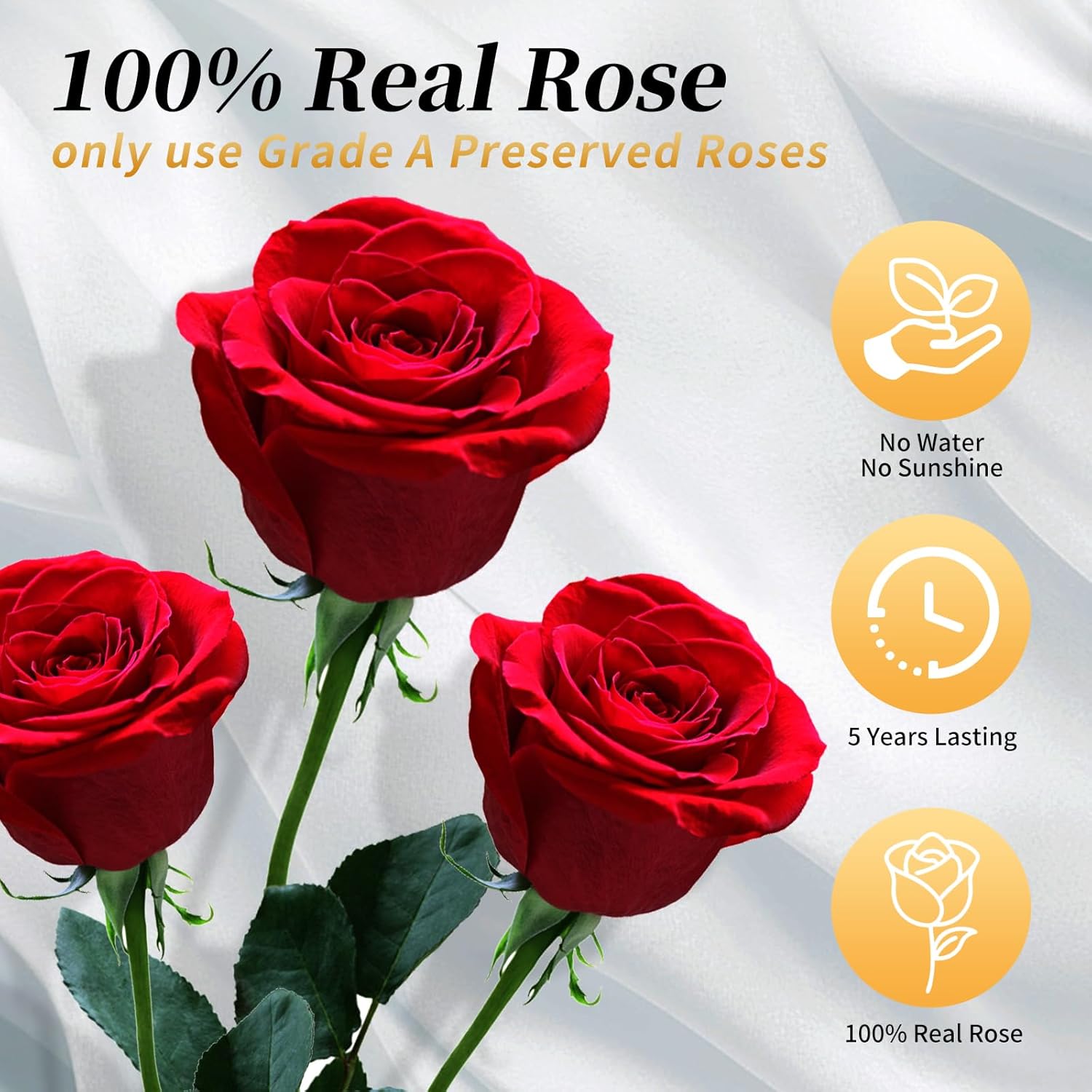Forever Flowers Roses In A Box,Real Preserved Flowers,Preserved Roses,Preserved Flowers For Delivery,Forever Flower Gifts For Women/Men/Mom,Flowers For Mothers Day,Valentine'S Day Rose Gifts,Red