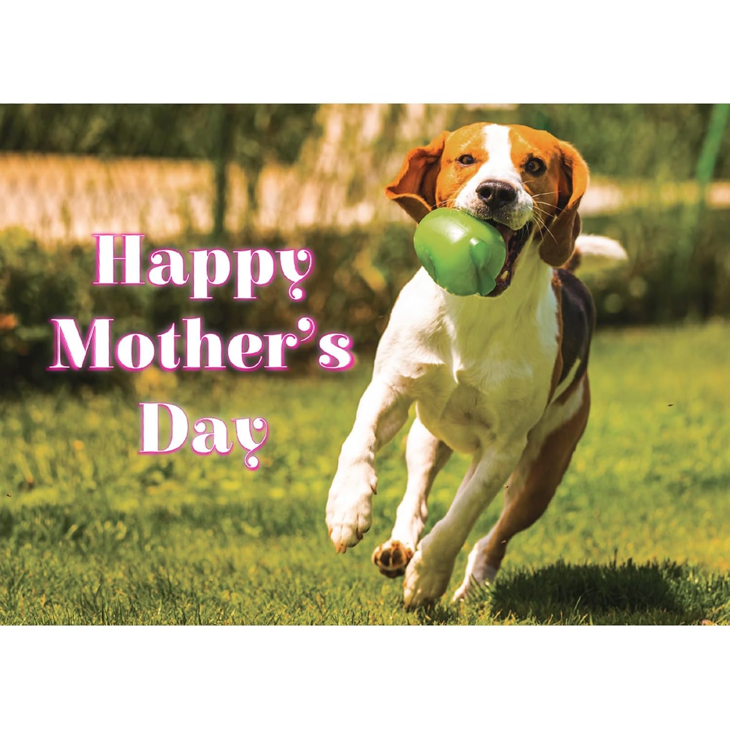 Best Mom In The Dog Park Mother'S Day Greeting Card