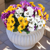24 Pcs Artificial Outdoor Flowers, Faux Silk Pansy Plants For Outside Uv Resistant Spring Pansies Flower For Home Planter Porch Patio Yard Decor (24, Yellow, White, Purple)