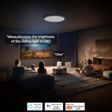 2 Pack Smart RGB LED Ceiling Lights WiFi Remote Alexa Google Flush Mount
