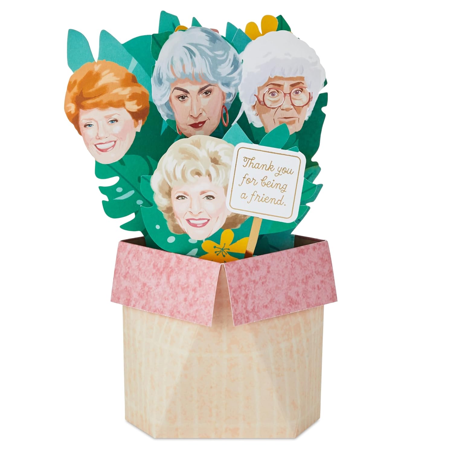 Hallmark Paper Wonder Shoebox Golden Girls Pop Up Card (Thank You for Being a Friend)