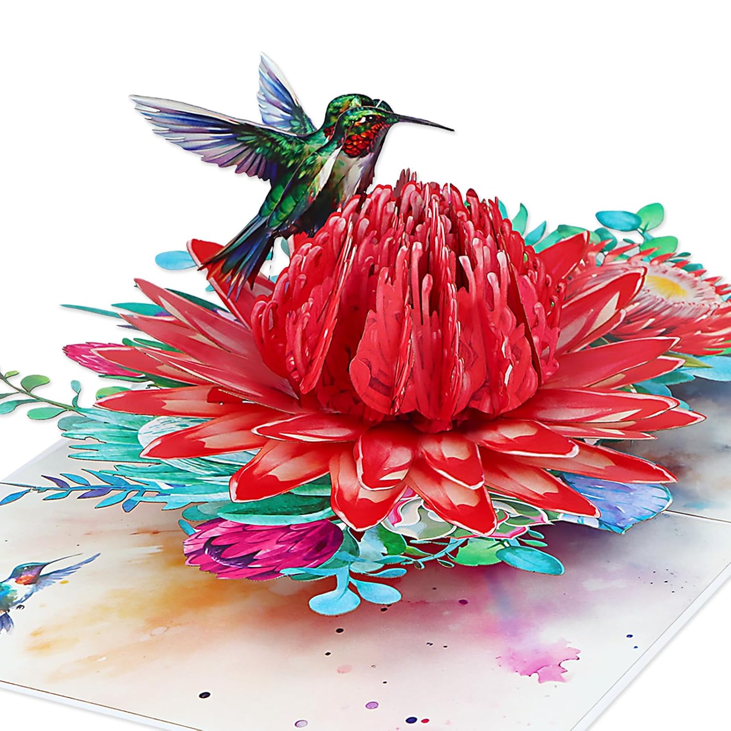 Pop Up Birthday Card - 3D Hummingbird King Portea Flower Greeting Card For Anniversary, Get Well, Thank You, Just Because, All Occasions, Gift For Wife Mom Grandma Daughter Sister Aunt