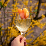 Tuscany Candle Peach Prosecco Long-Lasting Scented Jar Candle, 18 oz