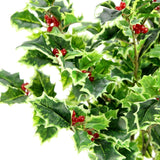 Artificial Holly Leaves With Berries Bush Bouquet - For Holiday Winter Christmas Home Decor, Faux Floral Arrangement For Crafts, Events, Funerals, Cemeteries - Set Of 2, Green