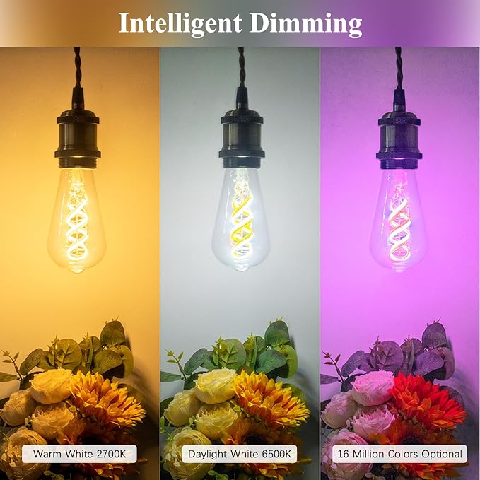 ST19/ST58 Smart Edison Bulb WiFi Color Changing 5W Alexa Google Home Compatible 500LM