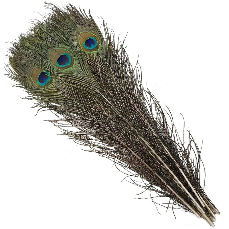 50Pcs Bulk Long Natural Peacock Feathers 16-18 Inch For Tall Vases Home Decor