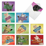 - 10 Blank Miss You Note Cards (4 X 5.12 Inch) - Assorted Boxed Adorable Pet Kittens - Cat Miss You This Much M6599Myb