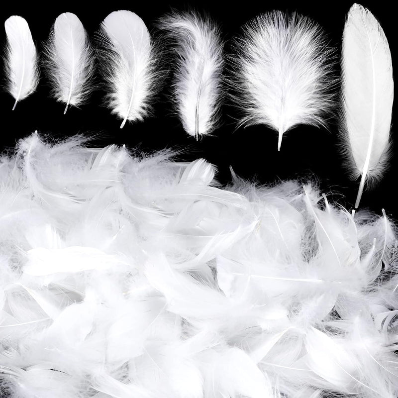 600 Pcs 1-7 Inch White Feathers For Crafts Fluffy Craft Feathers Soft