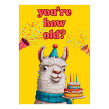 Screaming Alpaca Goat Birthday Card – Funny Talking Motion Greeting Card For Men, Women, Kids – Hilarious Meme Sound And Shaking Head – Great 21St, 30Th, 40Th, 50Th, 60Th, 70Th Birthday Card – Unique Bday Gag Gift – 5.5X8 Inch With Blue Envelope