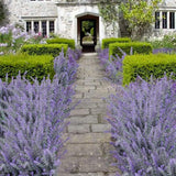 4Pcs Artificial Flowers Fake Lavender Faux Purple Flocked Plastic Flowers Plants For Home Wedding Kitchen Garden Patio Window Box Office Table Centerpieces Indoor Outdoor Décor