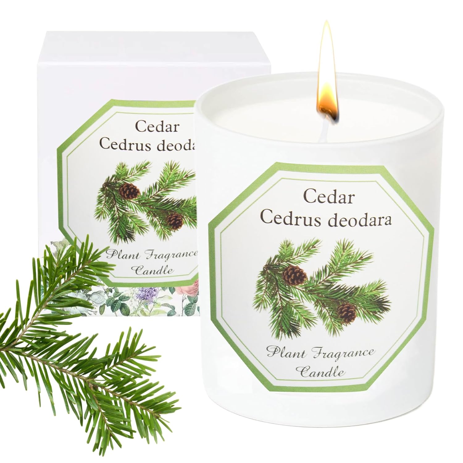 Cedarwood Scented Candle, Candles For Home Scented, Candles Gift For Women, Natural Soy Wax, 6 Oz 40 Hours Burning Time