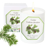 Cedarwood Scented Candle, Candles For Home Scented, Candles Gift For Women, Natural Soy Wax, 6 Oz 40 Hours Burning Time