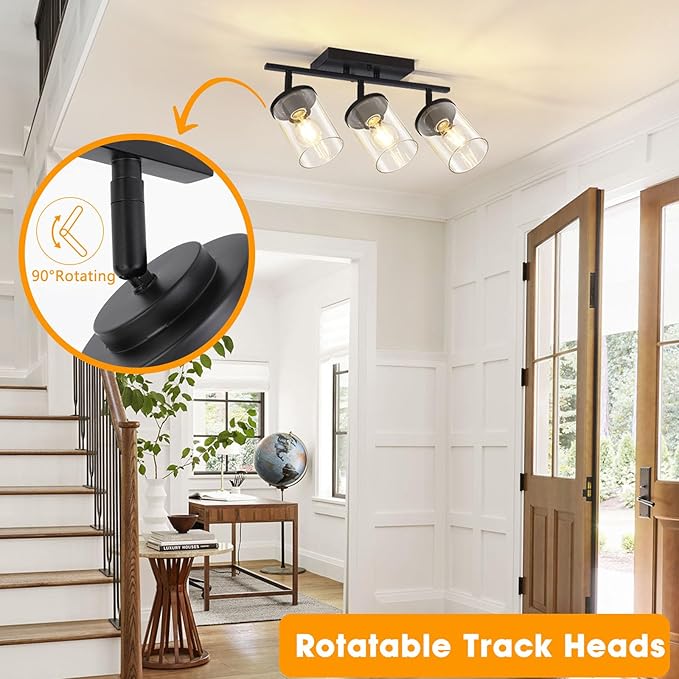3 Light Adjustable Black Track Ceiling Light Semi Flush Mount with Glass Shades