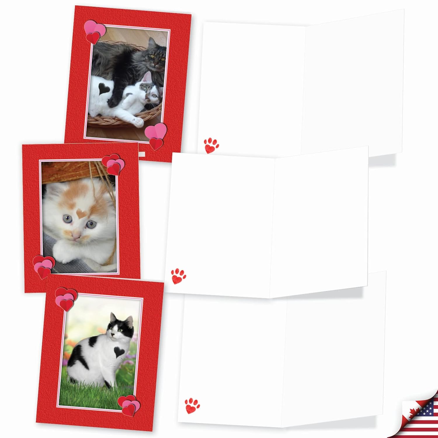 - 10 All Occasion Blank Cat Cards (4 X 5.12 Inch) - Cute Assorted Bulk Card Set - Heartfelt Cats M5658Ocb-B1X10