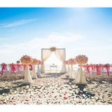 3000 Pcs Rose Petals Artificial Flowers For Valentine'S Wedding Decor Romantic Night Bridal Party Home Decorations, Ivory