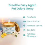 Sea Salt Pet Odor Eliminator Candle, Ocean Breeze Scent, 6Oz, Eco-Friendly Soy Wax, Made In Usa, Pet-Safe, Natural Odor Removal Candle, Non-Toxic, Phthalate-Free, Cotton Wick