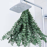 22 Pcs Dried Eucalyptus Bundle For Shower - 17" Large Preserved Eucalyptus Stems Shower Plant, Fresh Real Eucalyptus Leaves For Shower Hanging, Artificial Flowers Arrangement, Home Bathroom Decor