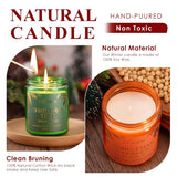4Pack/28Oz Christmas Soy Candles Gift Set Non-Toxic Aromatherapy Scented Holiday Candles For Chritmas Gifts Home Decor, Luxury Vinilla/Apple/Eucalyptus/Rose Jar Candle, Winter Candle Set For Women Men