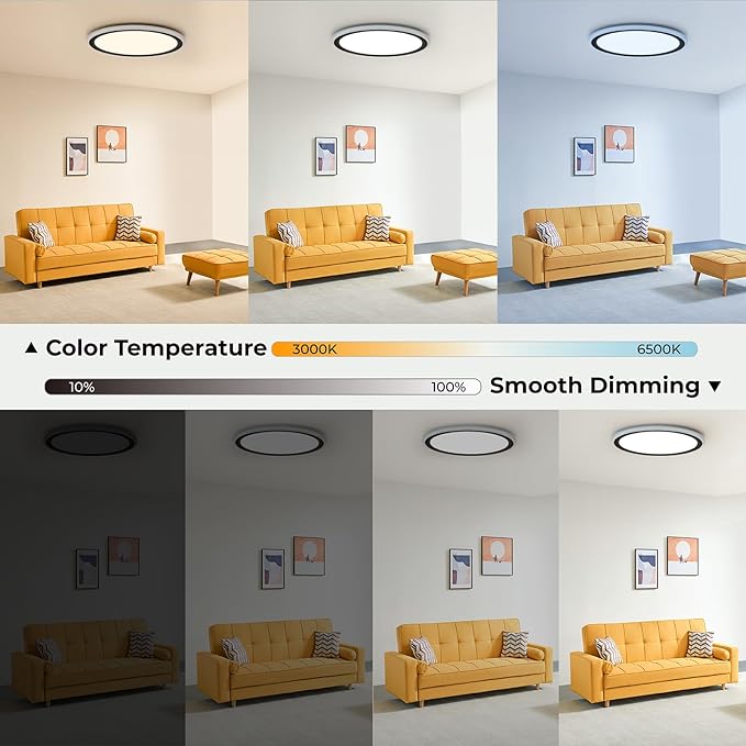 13 Inch LED Ceiling Light with Remote Color Changing Black Flush Mount Fixture