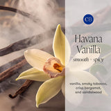 Capri Blue Scented Candles - Signature Glass Jar Candles - Long Lasting Soy Wax Blend - Luxury Home Decor - Notes of Vanilla, Bergamot, & Sandalwood - Gifts for Women (Havana Vanilla, 8 oz)
