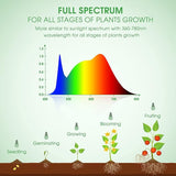 2 Pack Full Spectrum LED Grow Light Bulbs A19 E26 Base 11W 100W Equivalent for Indoor Plants