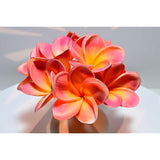 Birthday Gifts For Women 10Pcs Pink Orange Flowers Pu Real Touch Flowers Hawaiian Plumeria Frangipani Artificial Flowers For Diy Birthday Gifts Wedding Gifts Home Decor Table Centerpiece