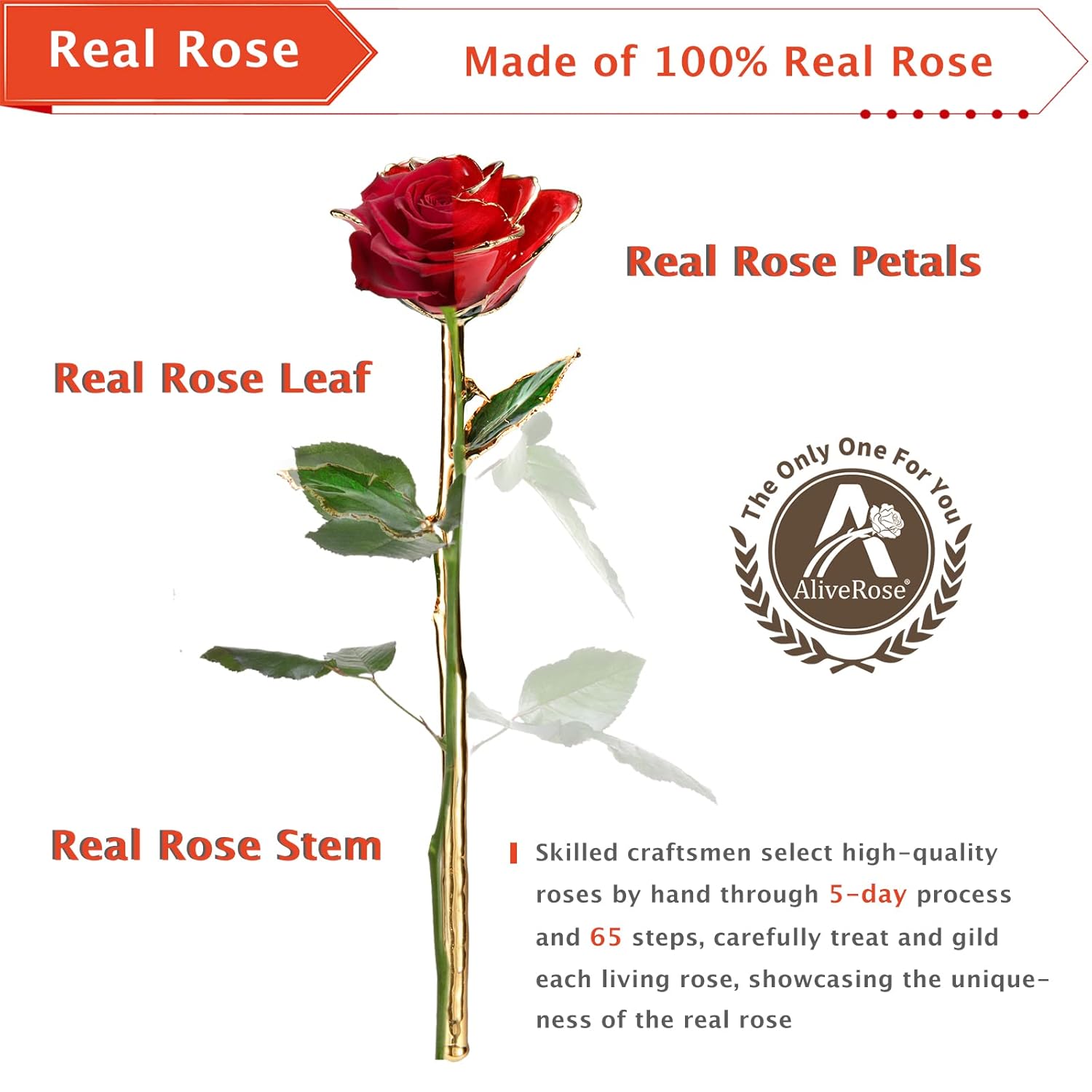 Gold Roses, 24K Gold Rose Made From Real Rose - Unique Design Dipped Rose For Anniversary Valentines Mothers Day Birthday Gifts (Pink With Stand)