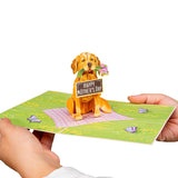 3D Pop Up Mothers Day Card, Happy Mother'S Day Dog, For Mom, Wife - 5" X 7" Cover - Includes Envelope And Note Tag