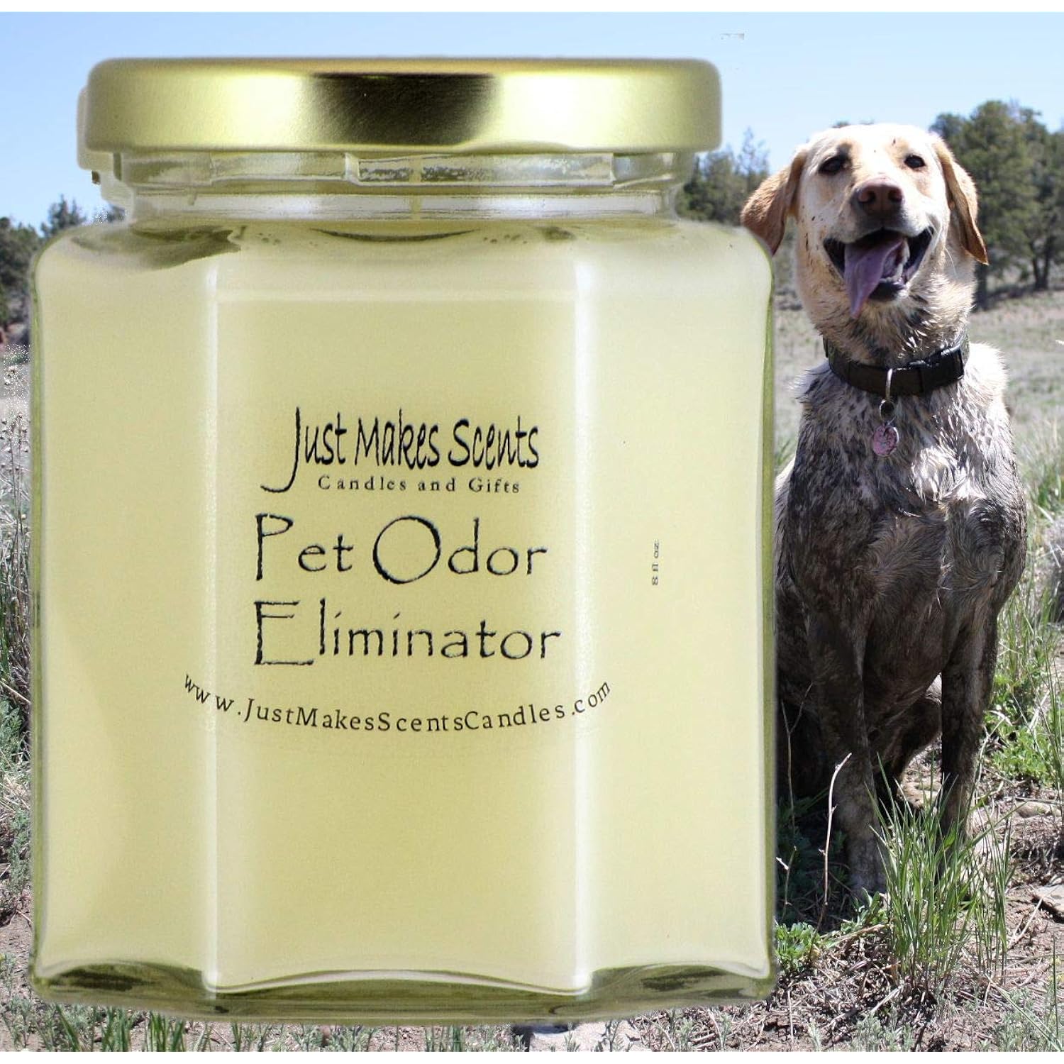 Pet Odor Eliminator Candle - Odor Eliminating Candles For Home - Neutralizes Cigarette, Food, And Pet Smells | Natural Soy Wax Candle, Hand Poured In The Usa