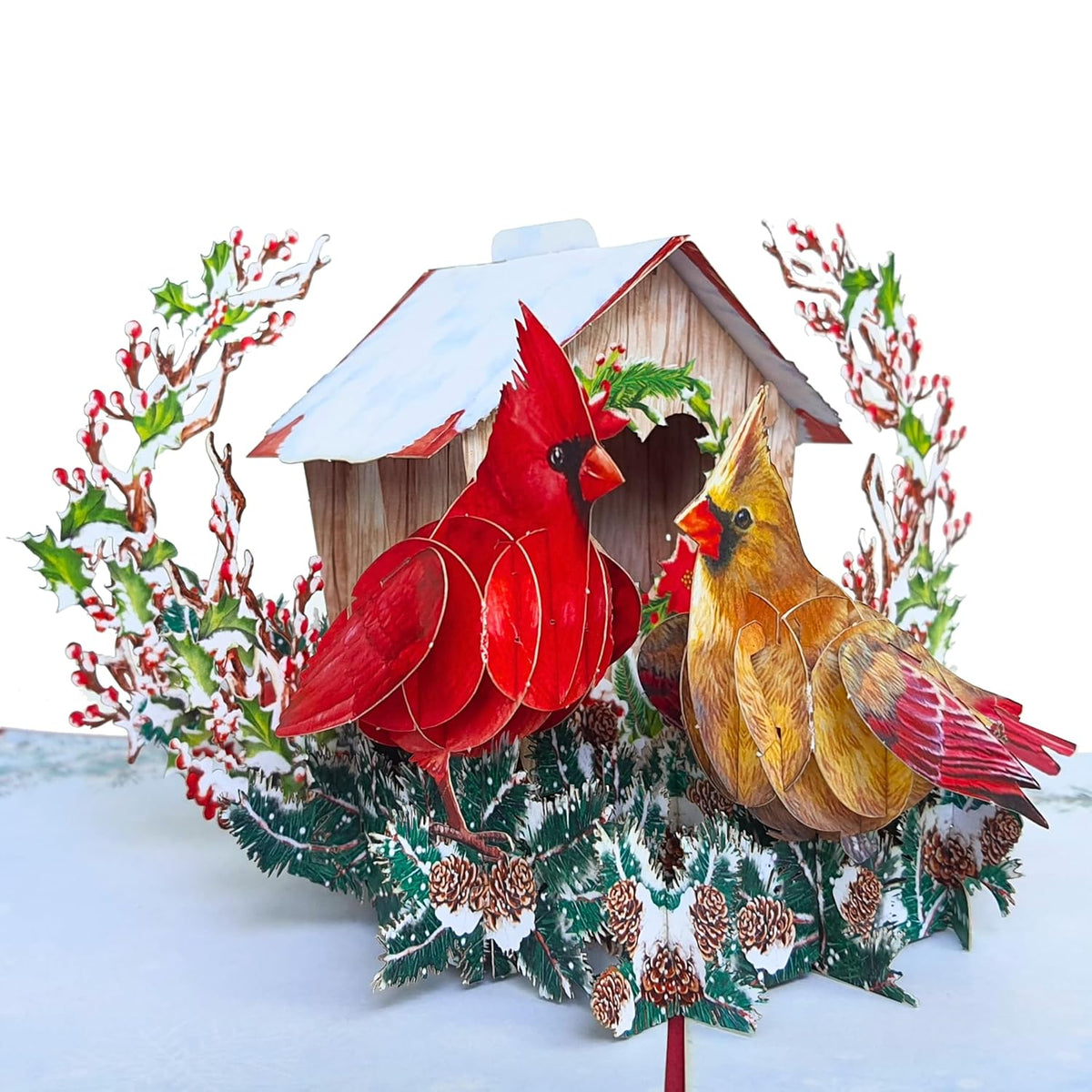 - Romantic Pop Up Valentines Card, 3D Cardinal Couple Valentines Day Card For Wife, Husband, Him, Her, Girlfriend, Adults | 6X8 In Valentine Day Pop Up Cards With Envelope And Message Note