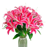 Artificial Lilies Flowers,10Pcs Faux Lily Flower,20''Tiger Lily Branch With 2 Full Blooms , Faux Fake Lilies Plants For Wedding Bouquet Home Party Indoor Floral Arrangements (10, Deep Pink)