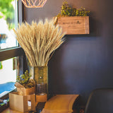 17.7 Inches Dried Wheat Stalks, 100 Stems Dried Flowers 100% Natural Wheat For Home Kitchen Office Flowers Arrangement Wedding Table Christmas Farmhouse Boho Party Fall Décor