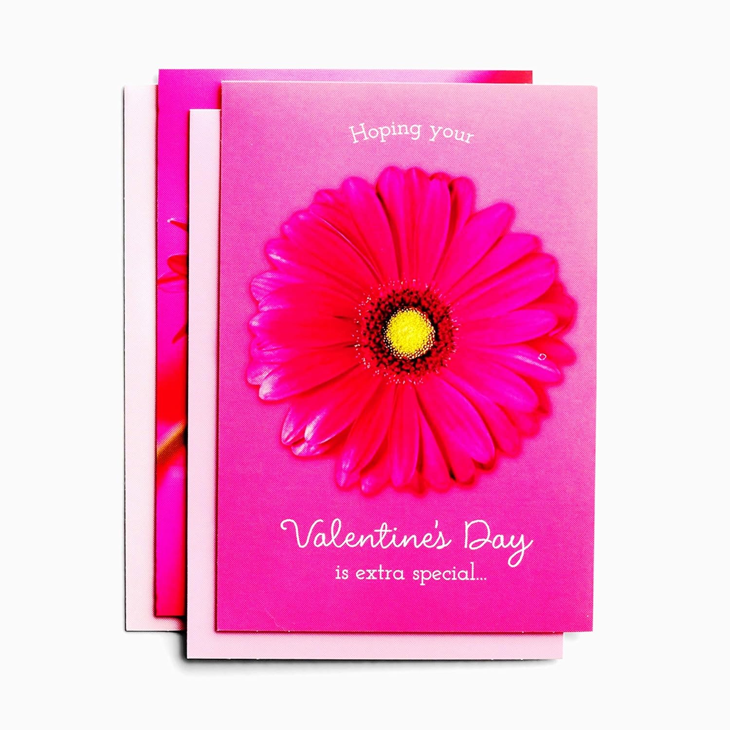 DaySpring - Valentine's Day is Extra Special - King James Version - 4 Pink Floral Designs with Scripture - 12 Boxed Valentine Cards & Envelopes (J1332)