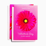 DaySpring - Valentine's Day is Extra Special - King James Version - 4 Pink Floral Designs with Scripture - 12 Boxed Valentine Cards & Envelopes (J1332)