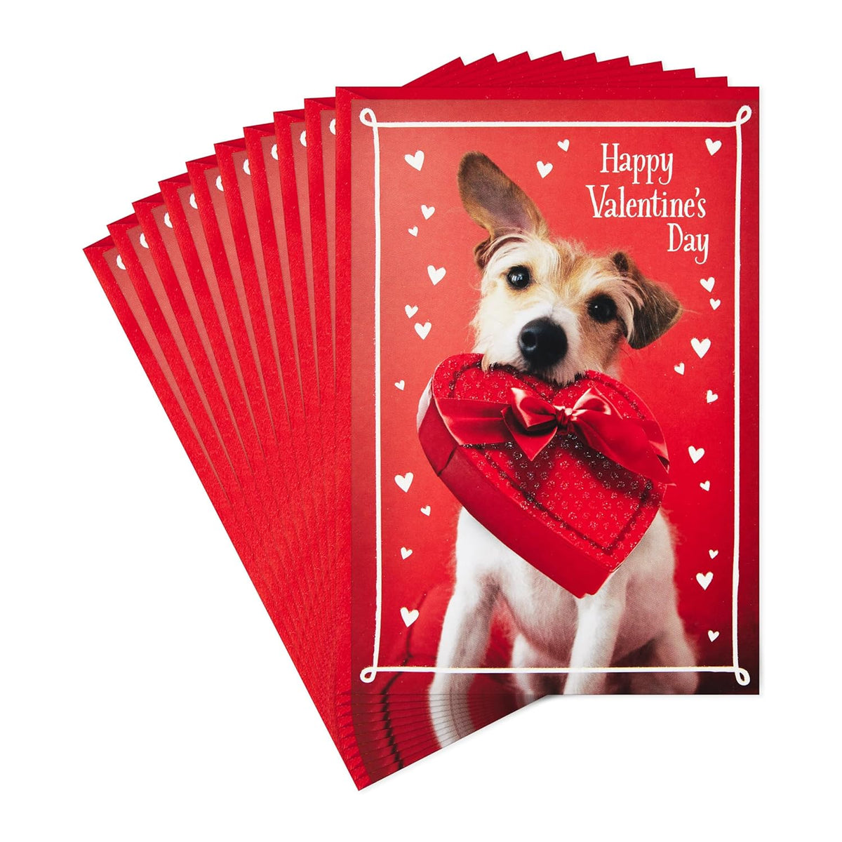 Hallmark Pack of Valentine's Day Cards, Dog with Box of Chocolates (10 Valentine's Day Cards with Envelopes)