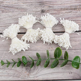 White Matte Stamens For Crafts, 1360 Pcs Stamens For Artificial Flowers Diy Wedding Party Home Scrapbook Decoration