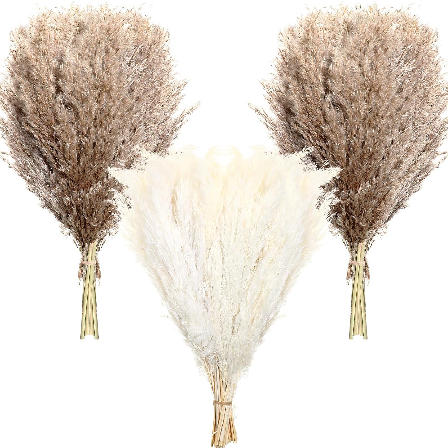 100 Pcs Dried Pampas Grass Decor 17 Inch Bulk Natural Small Pompous Wild Fluffy Pompas Floral Boho Decor Flowers For Wedding Party Farmhouse Home Decor Bathroom Office Kitchen (White, Brown)