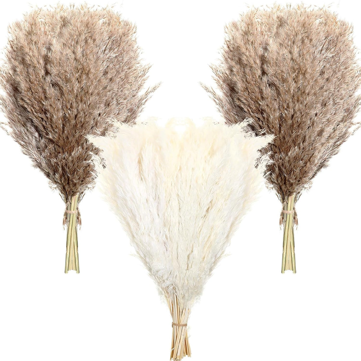 100 Pcs Dried Pampas Grass Decor 17 Inch Bulk Natural Small Pompous Wild Fluffy Pompas Floral Boho Decor Flowers For Wedding Party Farmhouse Home Decor Bathroom Office Kitchen (White, Brown)