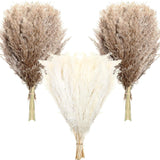 100 Pcs Dried Pampas Grass Decor 17 Inch Bulk Natural Small Pompous Wild Fluffy Pompas Floral Boho Decor Flowers For Wedding Party Farmhouse Home Decor Bathroom Office Kitchen (White, Brown)
