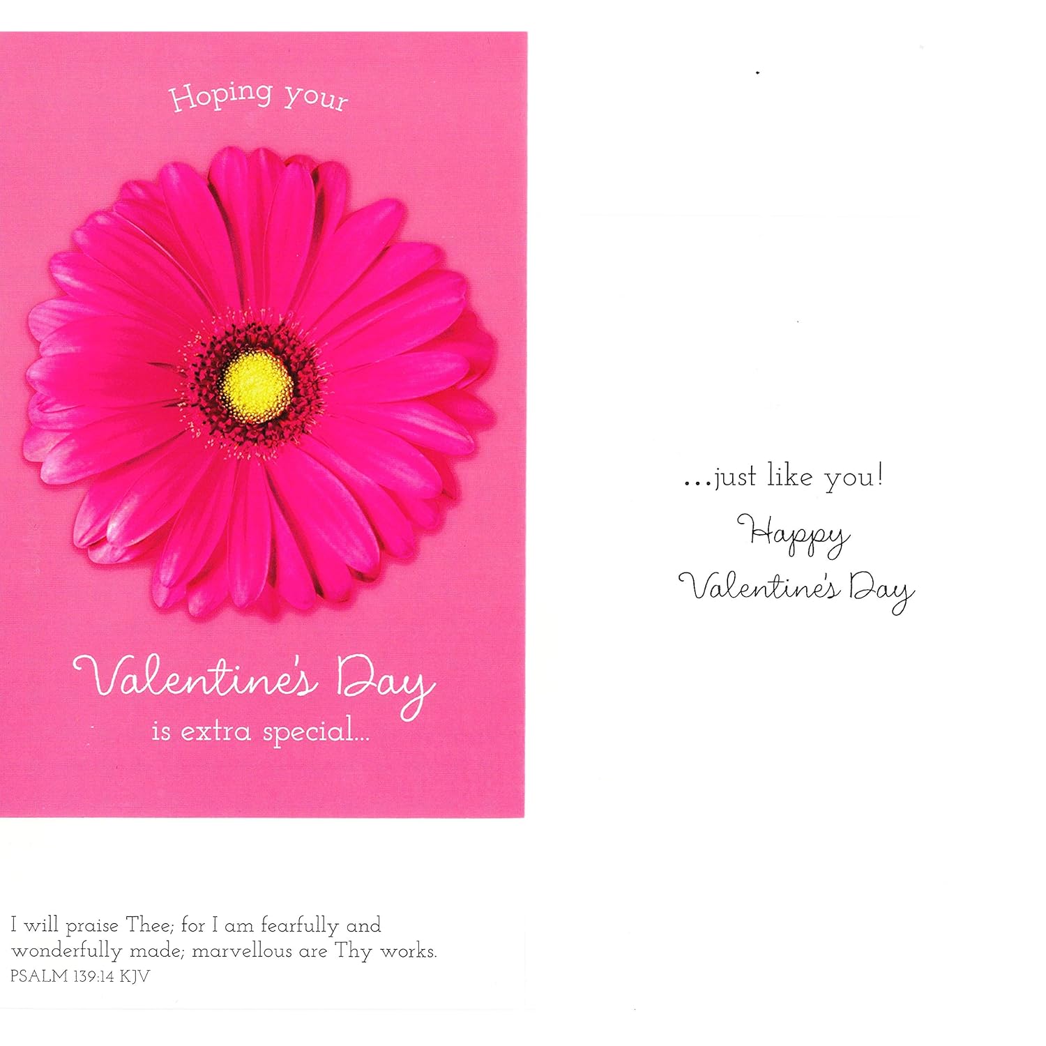DaySpring - Valentine's Day is Extra Special - King James Version - 4 Pink Floral Designs with Scripture - 12 Boxed Valentine Cards & Envelopes (J1332)