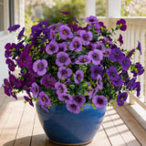 17 Inch Artificial Faux Pansy Flowers For Outdoor,Fake Pansies Flowers With Eucalyptus Leaves Fake Plants Greenery Boxwood Porch Patio Decor 6 Bundles(Dark Purple,Lotus Purple,Light Purple)