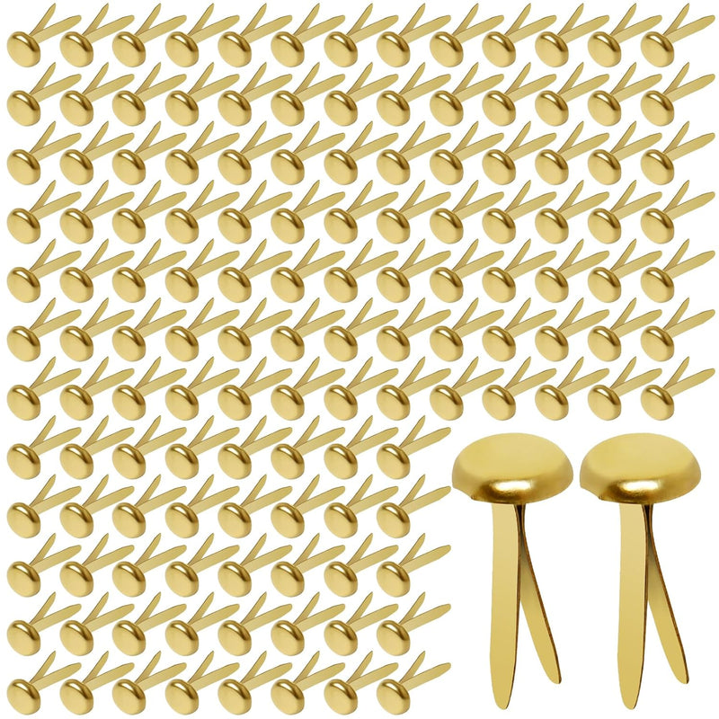 Paper Fasteners,Medium 3/4-Inch Brass Plated Scrapbooking Brads Round Metal Br