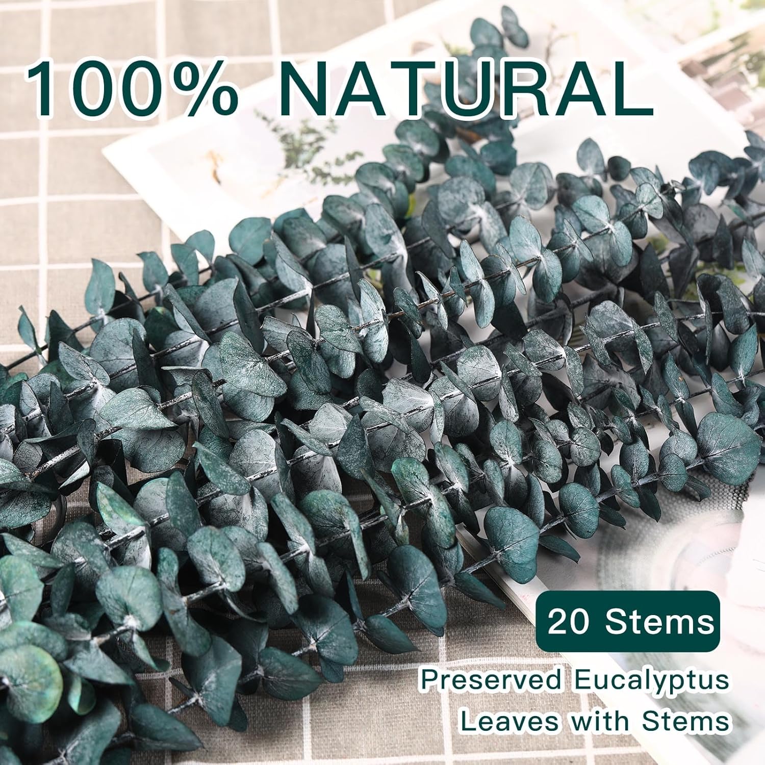 20 Pcs Dried Eucalyptus Stems, 17'' Natural Real Live Blue Eucalyptus Leaves Branches Hanging Shower, Preserved Dried Plants For Spa Home Fragrance Bathroom Table Vase Decor