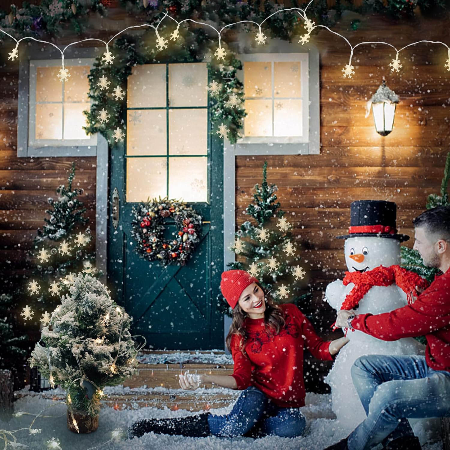 Christmas Snowflake Lights Indoor, 40 Leds,6 M/19.69 Ft, 2 Light Modes,Battery Operated Snowflake String Lights,Snowflak