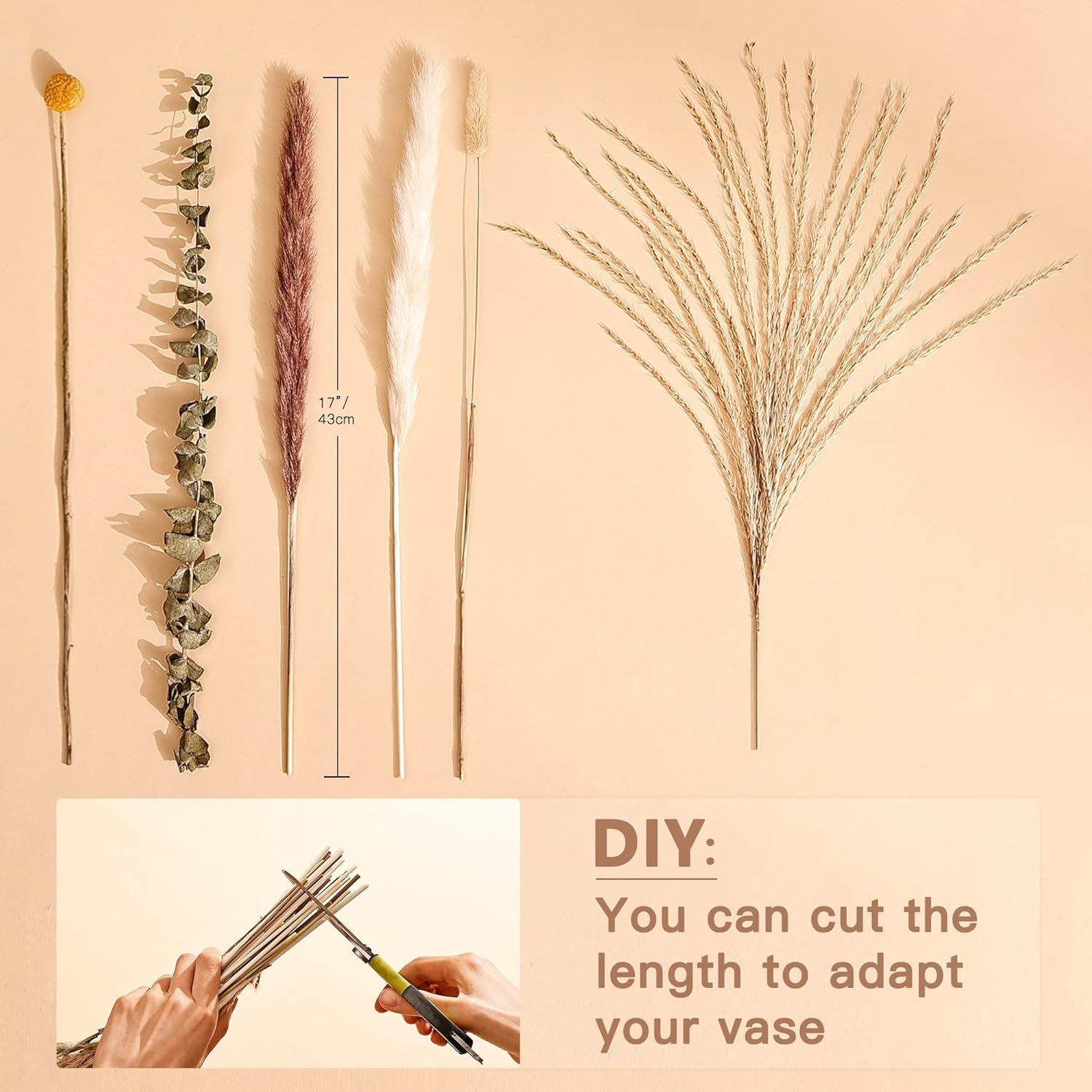 Natural Dried Pampas Grass Bouquet 78Pcs 17Inch Home Decor, White Pampas & Brown Pampas & Reed Grass & Bunny Tails Grass & Craspedia & Eucalyptus, Boho Wedding Decor Flowers Arrangement