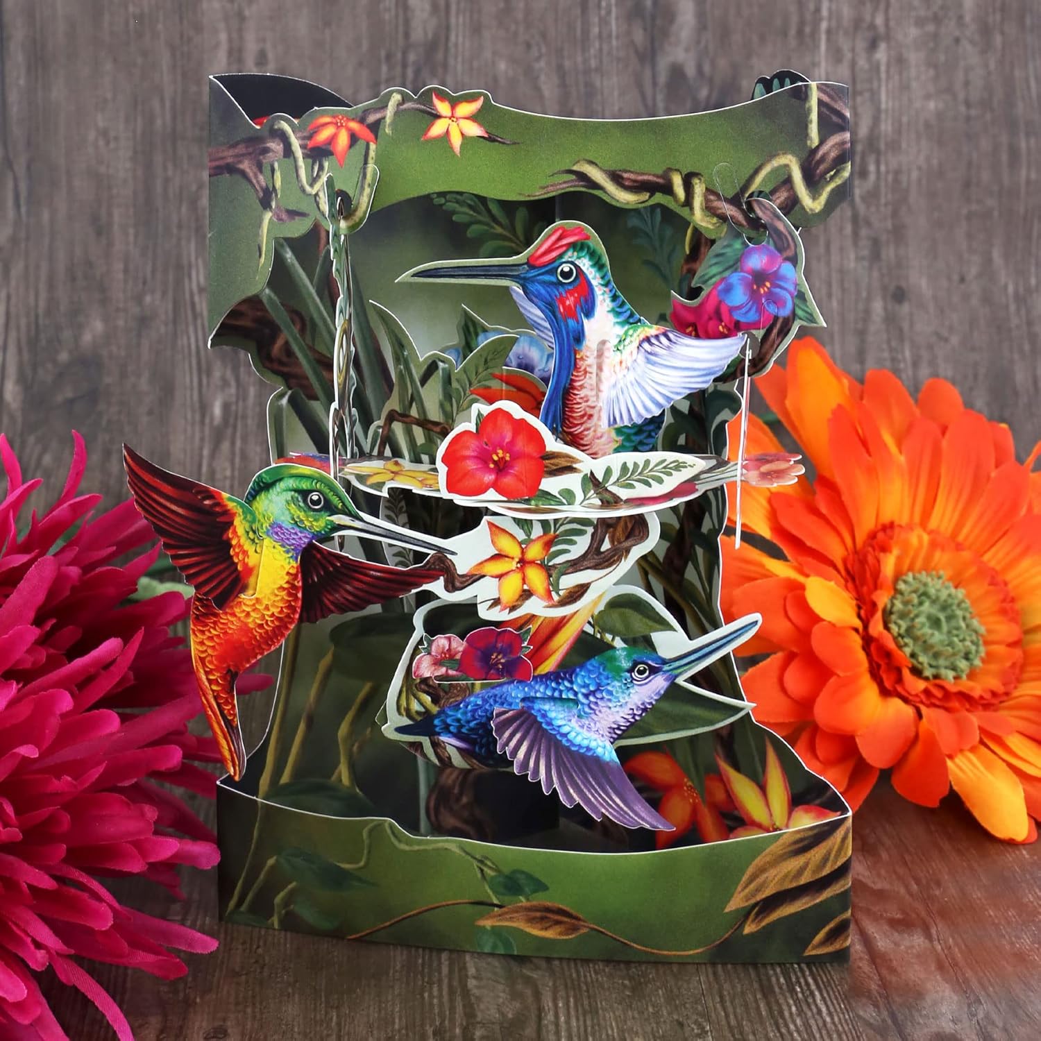 Santoro 3D Pop Up Greetings Card, Birthday Card - For Him, For Her, For Birthday, For Mother'S Day For Anniversary - Hummingbirds